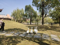 -中国计量大学(西校区)