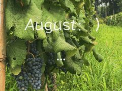 -安德鲁户外烧烤帐篷营地(马泉营店)