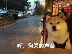 -85度C(南京中山南店)