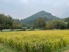 -八卦田遗址公园