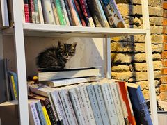 -甲乙丁書店·书茶咖·四合院