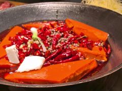 -阳阳老火锅(小南门店)