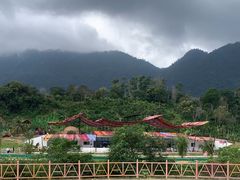 -海南热带雨林国家公园吊罗山景区