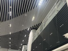 -望京西(地铁站)