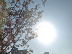 -新江湾城公园