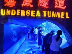 -太平洋海底世界