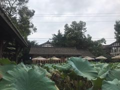 -莫催咖啡