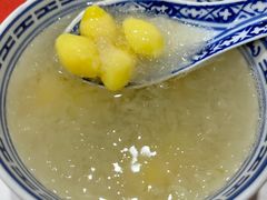 -大中鱼翅 Taitong Shark Fin