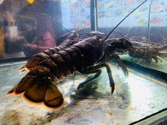 -鑫阿强海鲜大排档·老厦门特色菜(中山路店)