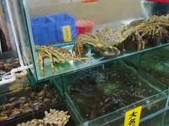 -寻味顺德·南记酒家·传统顺德菜·鱼生(广源路店)