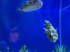 -秦皇岛新澳海底世界