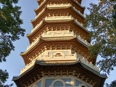-灵谷景区