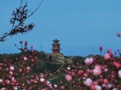 -泰山风景名胜区