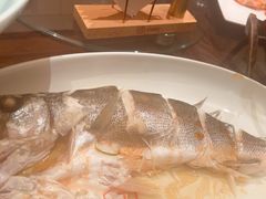 -唐山宴百姓府邸院落中餐