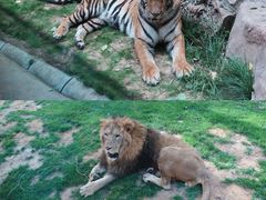 -北京野生动物园