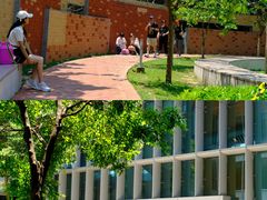 -香港大学