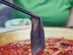 毛肚-矮冬瓜红茶火锅