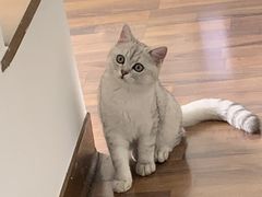 -联合动物医院(光谷诊疗中心)