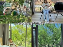 -欢乐松鼠谷