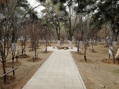 -东北大学(南湖校区)