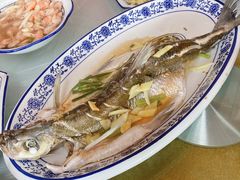 清蒸白水鱼-洞天食府(北大街店)