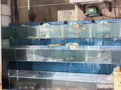 -东海章鱼馆(恒瑞街店)