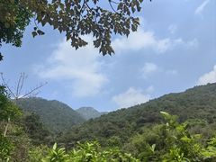 -羚羊峡古栈道森林公园