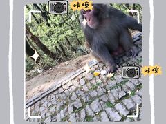 -苏州上方山国家森林公园