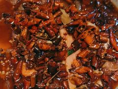 -百年神厨·地道川菜(清江西路店)