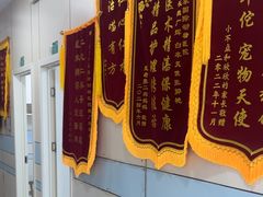-中农国际动物医院24小时·猫科·骨科·急重症中心