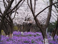 -白塘生态植物园
