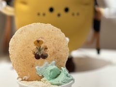 -FIDEE CHOCOLATE 花地