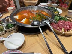 -老凯俚酸汤鱼(多彩城店)