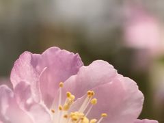 -徐家汇源景区-衡山公园