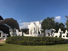 -清迈夜间动物园