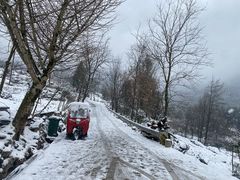 -武陵山森林公园