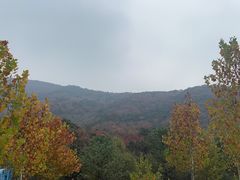 -北京十三陵国家森林公园蟒山景区