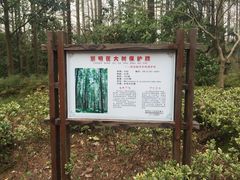 -上海怡沁园度假酒店