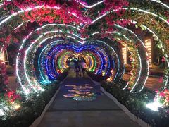 -三亚海昌梦幻海洋不夜城