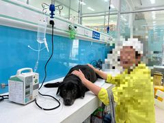 -乖乖乐动物医院(小汤山分院)