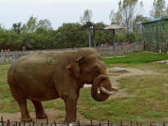 -西安秦岭野生动物园
