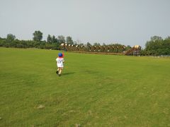 -崇明东平国家森林公园烧烤房车露营地