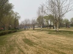 -思念果岭悦温泉