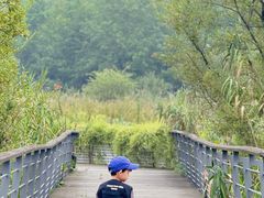-西湖风景区-江洋畈生态公园