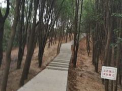 -火炉山森林公园