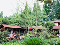 -青城甲(青城山店)