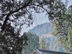 -泰山风景名胜区