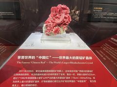 -湖南省地质博物馆