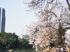 -红星桥(地铁站)