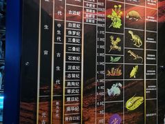 -河南自然博物馆